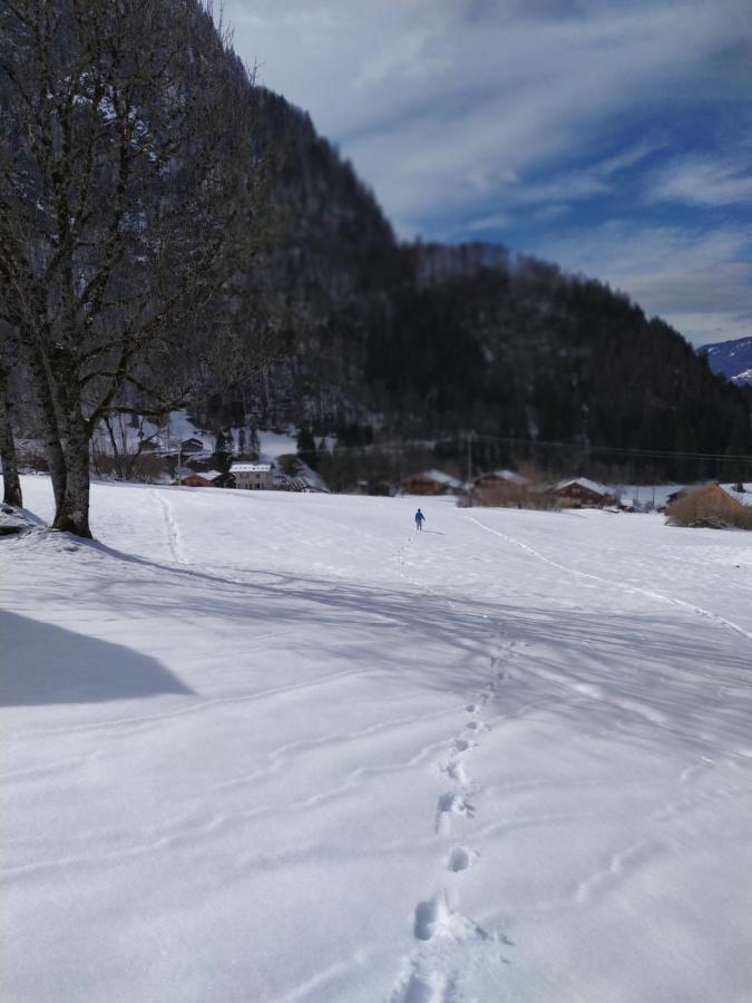 Le Clair Logis Villa Sixt Buitenkant foto